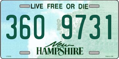 NH license plate 3609731