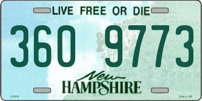 NH license plate 3609773