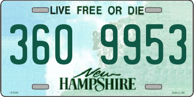 NH license plate 3609953