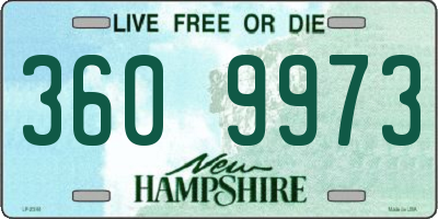 NH license plate 3609973