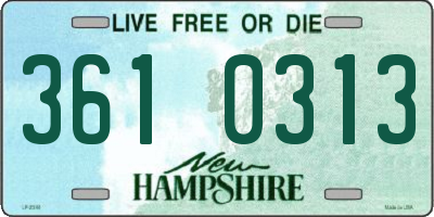NH license plate 3610313
