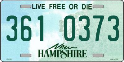NH license plate 3610373