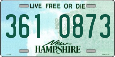 NH license plate 3610873