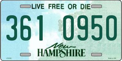 NH license plate 3610950
