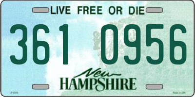 NH license plate 3610956