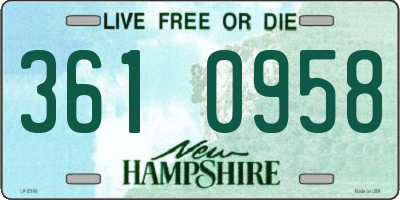 NH license plate 3610958