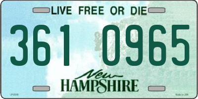 NH license plate 3610965