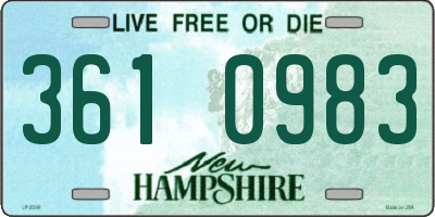 NH license plate 3610983
