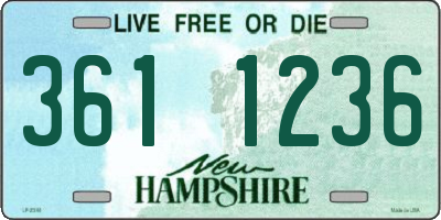 NH license plate 3611236