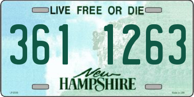 NH license plate 3611263