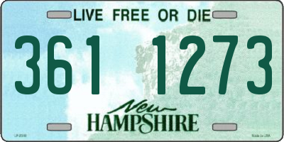 NH license plate 3611273