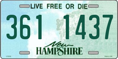 NH license plate 3611437
