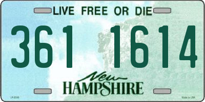 NH license plate 3611614
