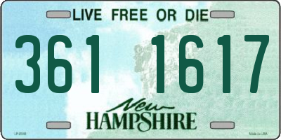 NH license plate 3611617