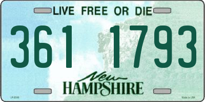 NH license plate 3611793