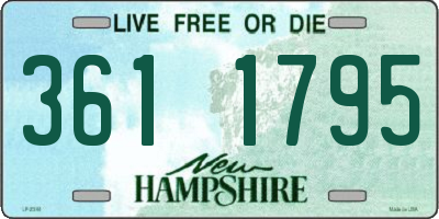 NH license plate 3611795