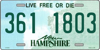 NH license plate 3611803