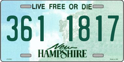 NH license plate 3611817
