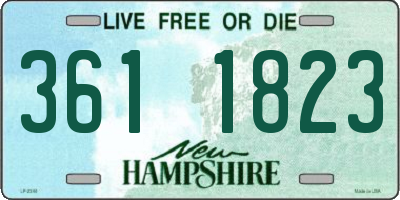 NH license plate 3611823