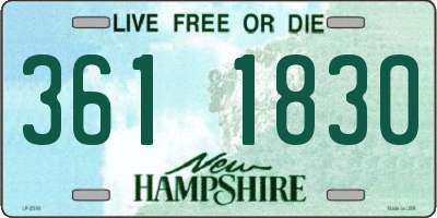 NH license plate 3611830