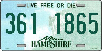 NH license plate 3611865