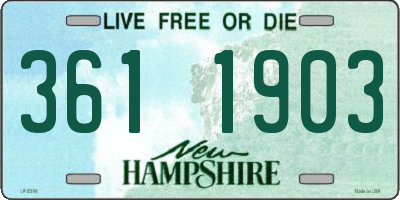 NH license plate 3611903