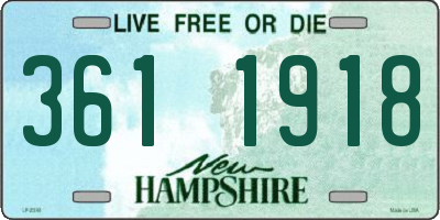 NH license plate 3611918