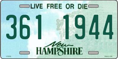NH license plate 3611944