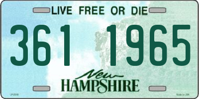 NH license plate 3611965