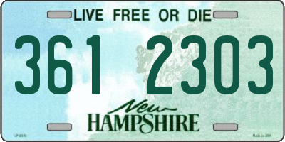NH license plate 3612303