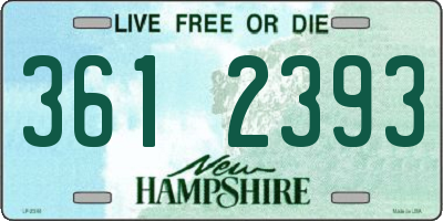 NH license plate 3612393