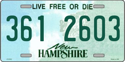 NH license plate 3612603
