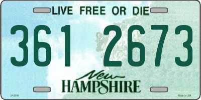 NH license plate 3612673
