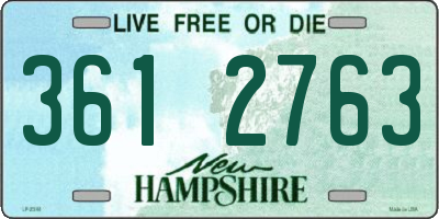 NH license plate 3612763