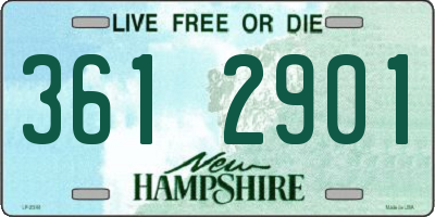NH license plate 3612901