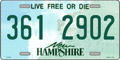 NH license plate 3612902
