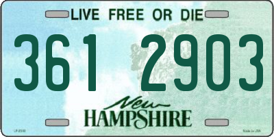 NH license plate 3612903