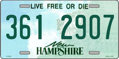 NH license plate 3612907
