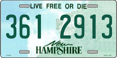 NH license plate 3612913