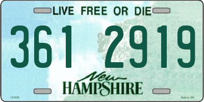 NH license plate 3612919