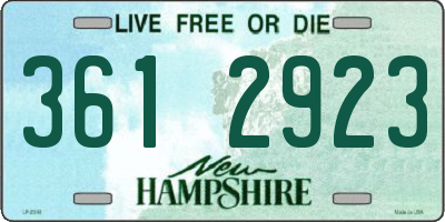 NH license plate 3612923