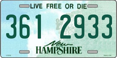 NH license plate 3612933