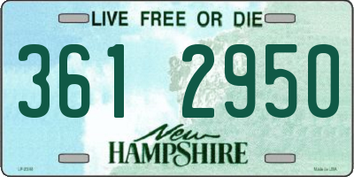 NH license plate 3612950