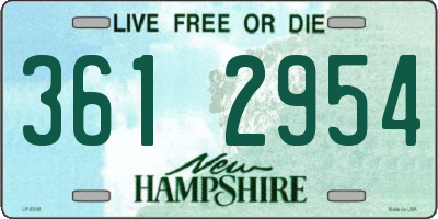 NH license plate 3612954