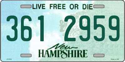 NH license plate 3612959