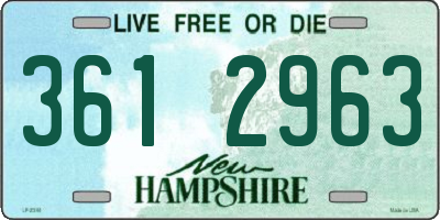 NH license plate 3612963