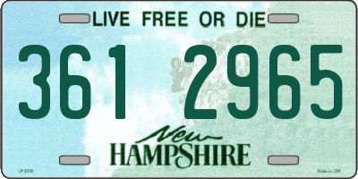 NH license plate 3612965
