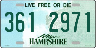 NH license plate 3612971