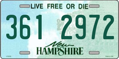 NH license plate 3612972