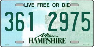 NH license plate 3612975